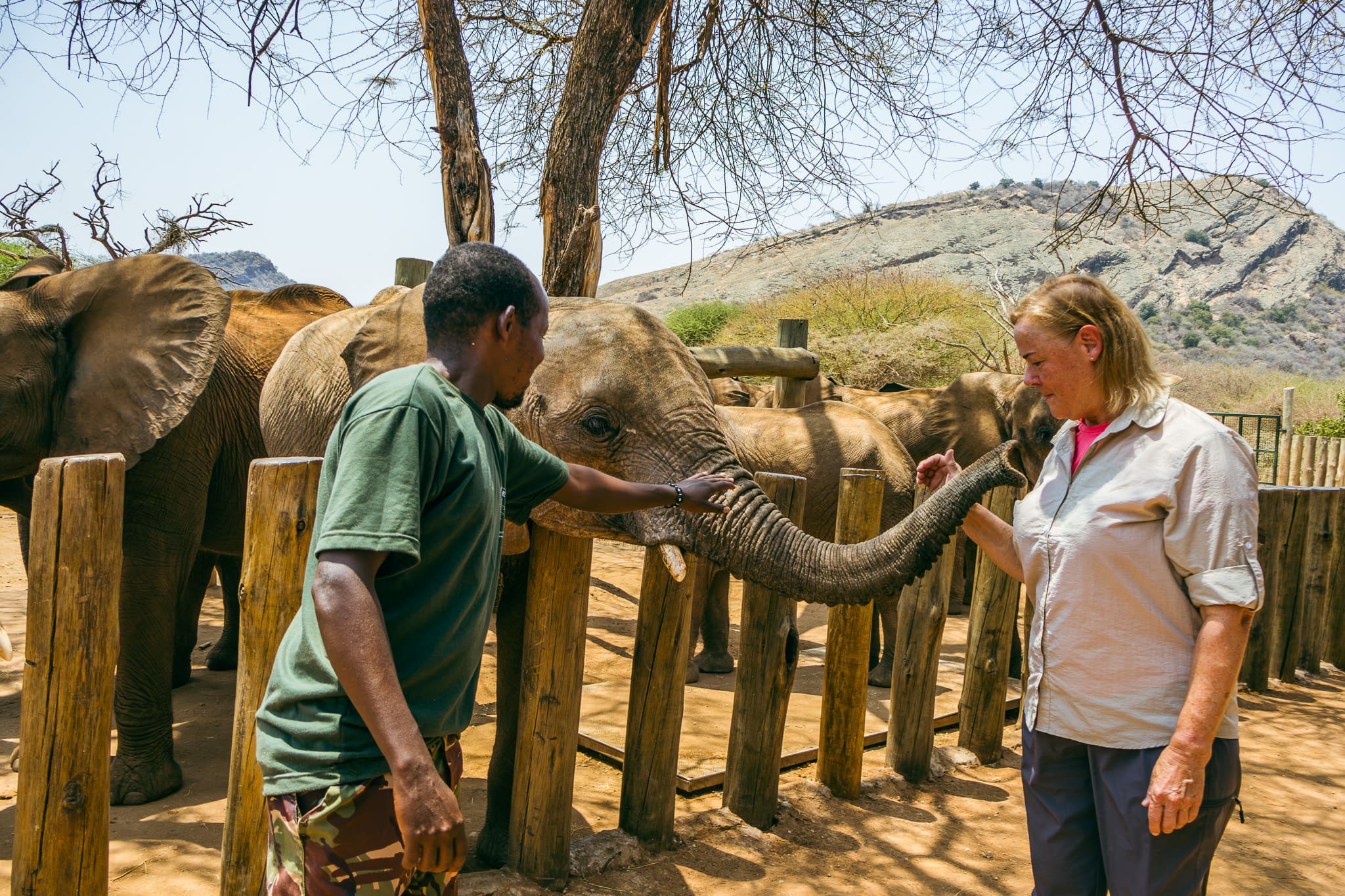 Visitor observing elephants with a Reteti sanctuary team member