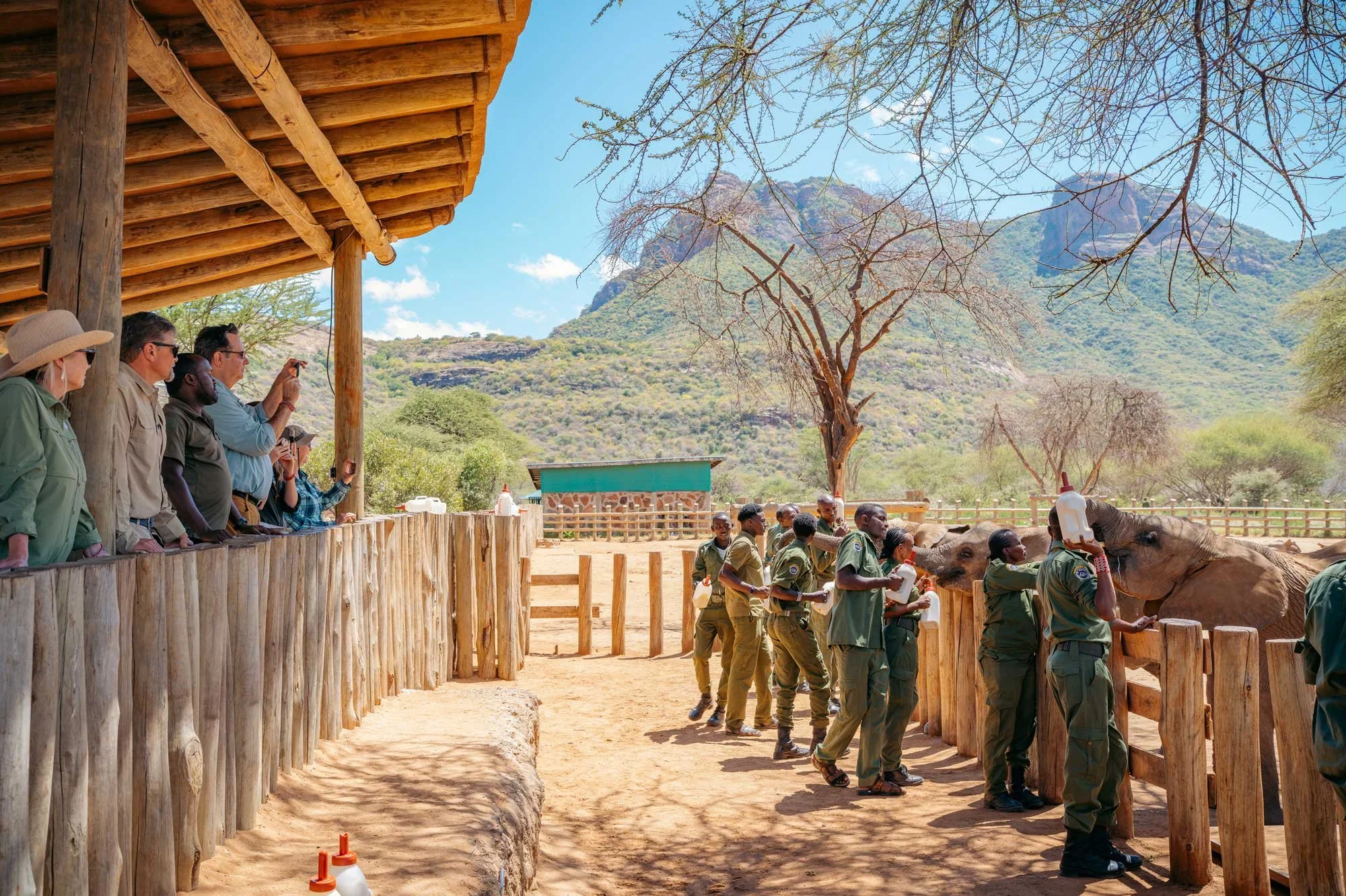 Sanctuary team caring for young elephants during a feeding visit